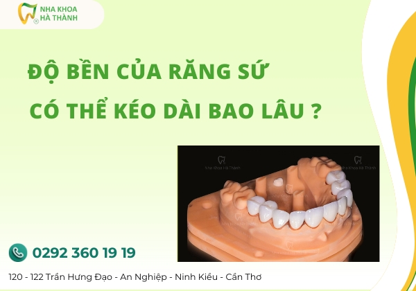 do-ben-cua-rang-su-keo-dai-trong-bau