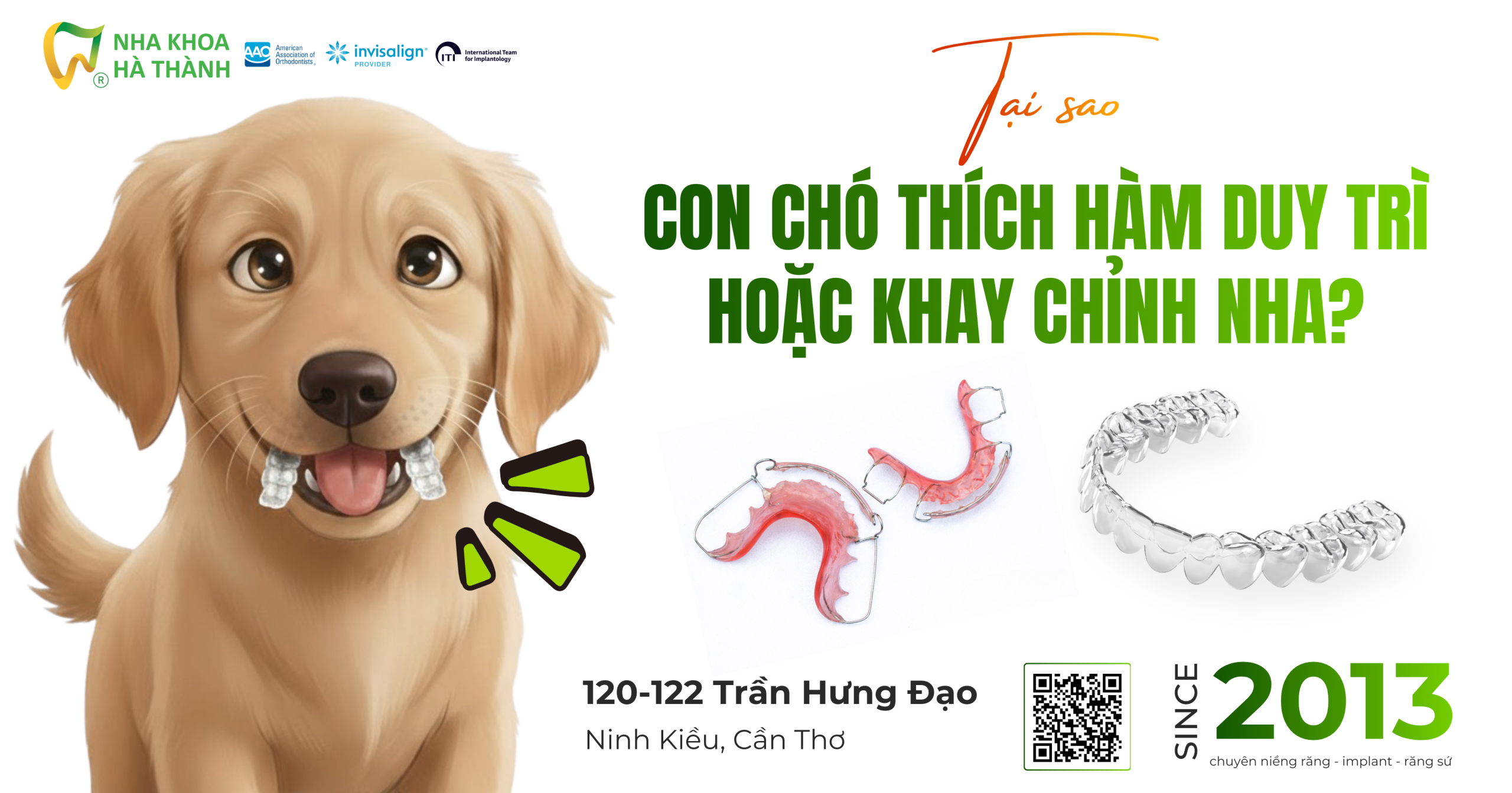 tại-sao-con-cho-thich-ham-duy-tri-hoac-khi-chinh-nha-nieng-răng-nha-khoa-ha-thanh-bac-si-dương-hoài-giao-ha-nha-khoa-uy-tín-cần-thơ